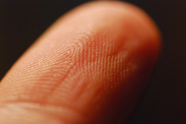 Close-up of a finger, the print pattern visible.