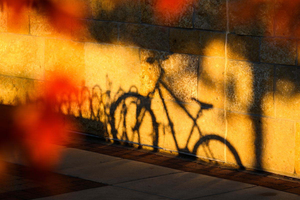 Shadow of a parked bike is cast on a brick wall by late afternoon sunlight