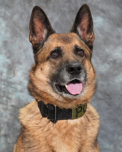 People - UW–Madison Police Department